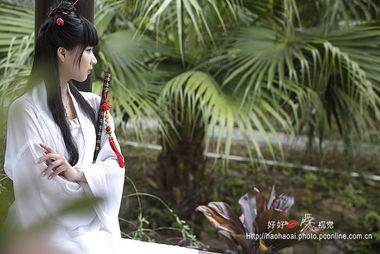 白衣侠女,传奇女侠的江湖传奇