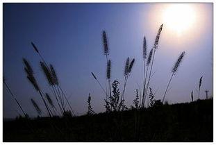 灿烂岁月,回首激情燃烧的岁月